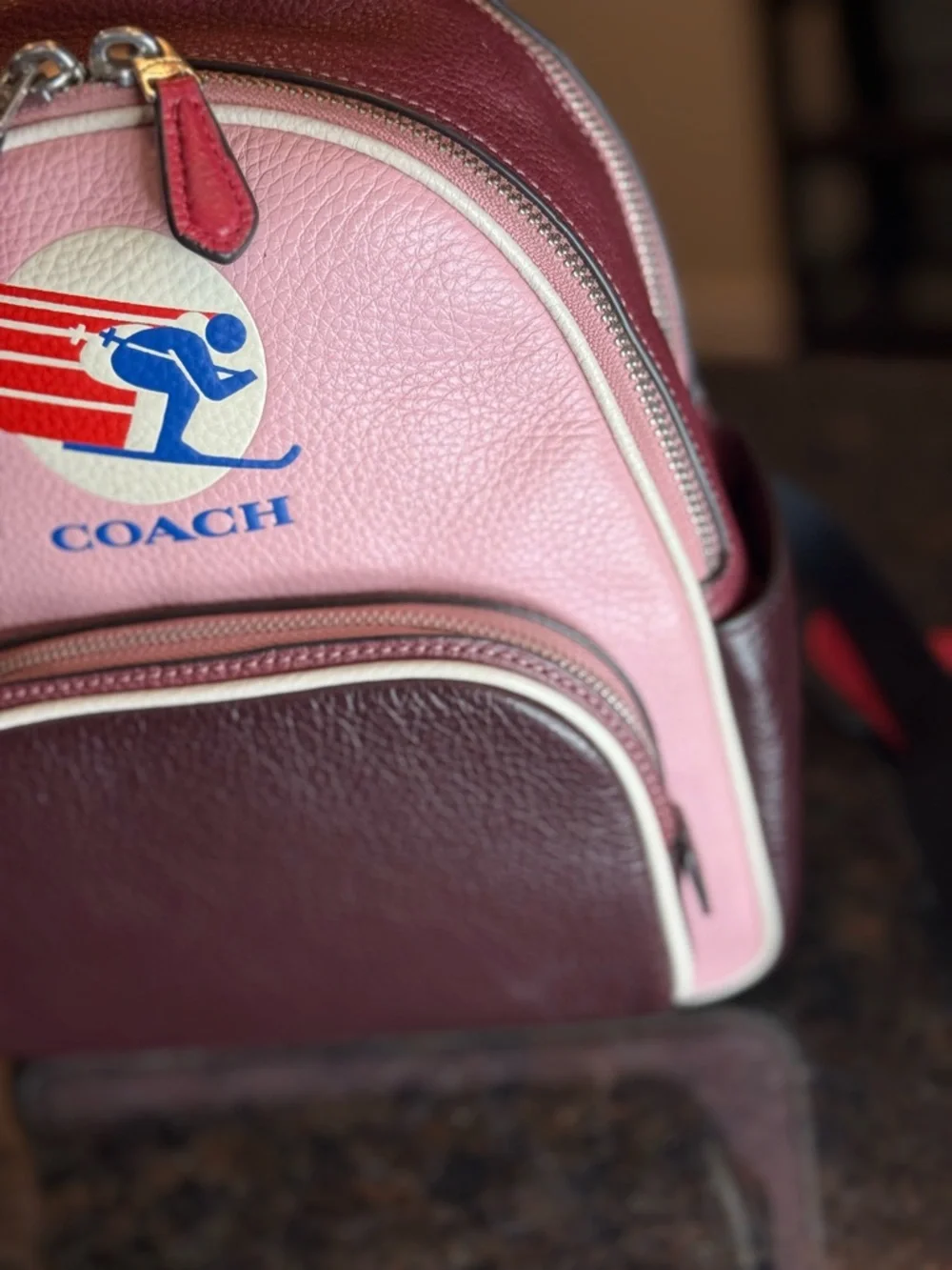 Coach Pink and Burgundy Colorblock Leather Mini Court Backpack Skiing